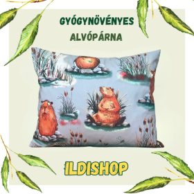   Kapibara, vizidisznó (01) mintás gyógynövényes párna 6 gyógynövény keveréke 40x50 cm 