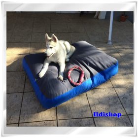 Kutyafekhely szögletes 40x65x15 cm